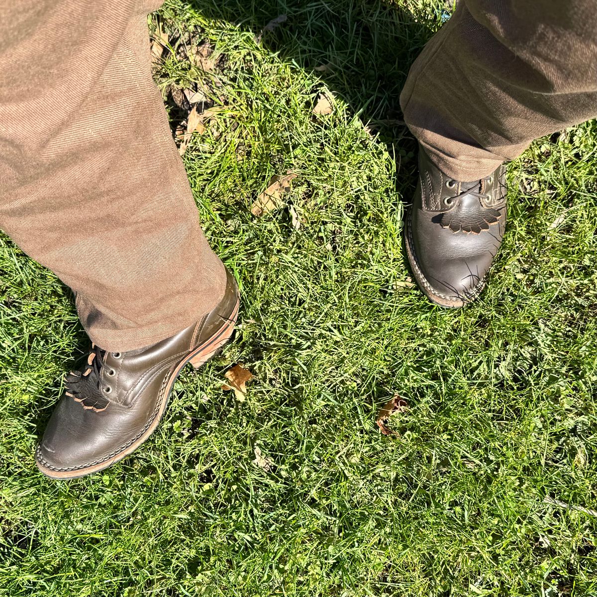 Photo by brvcha on April 13, 2025 of the Nicks Packer in Shackelton Greener Pastures.