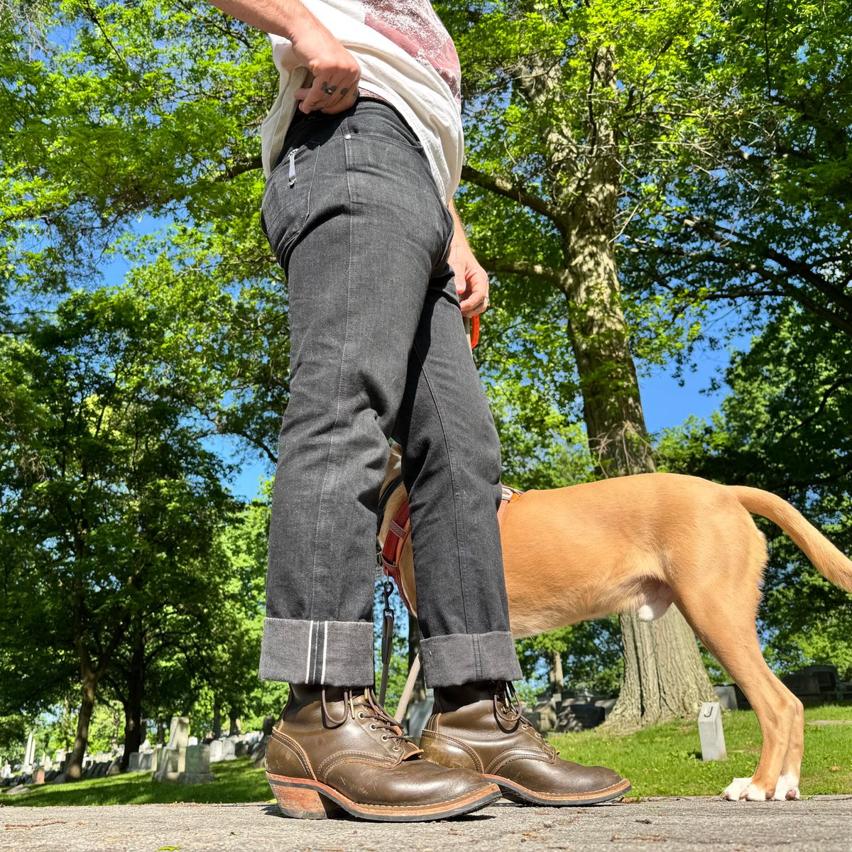 Photo by brvcha on May 18, 2025 of the Nicks Packer in Shackelton Greener Pastures.