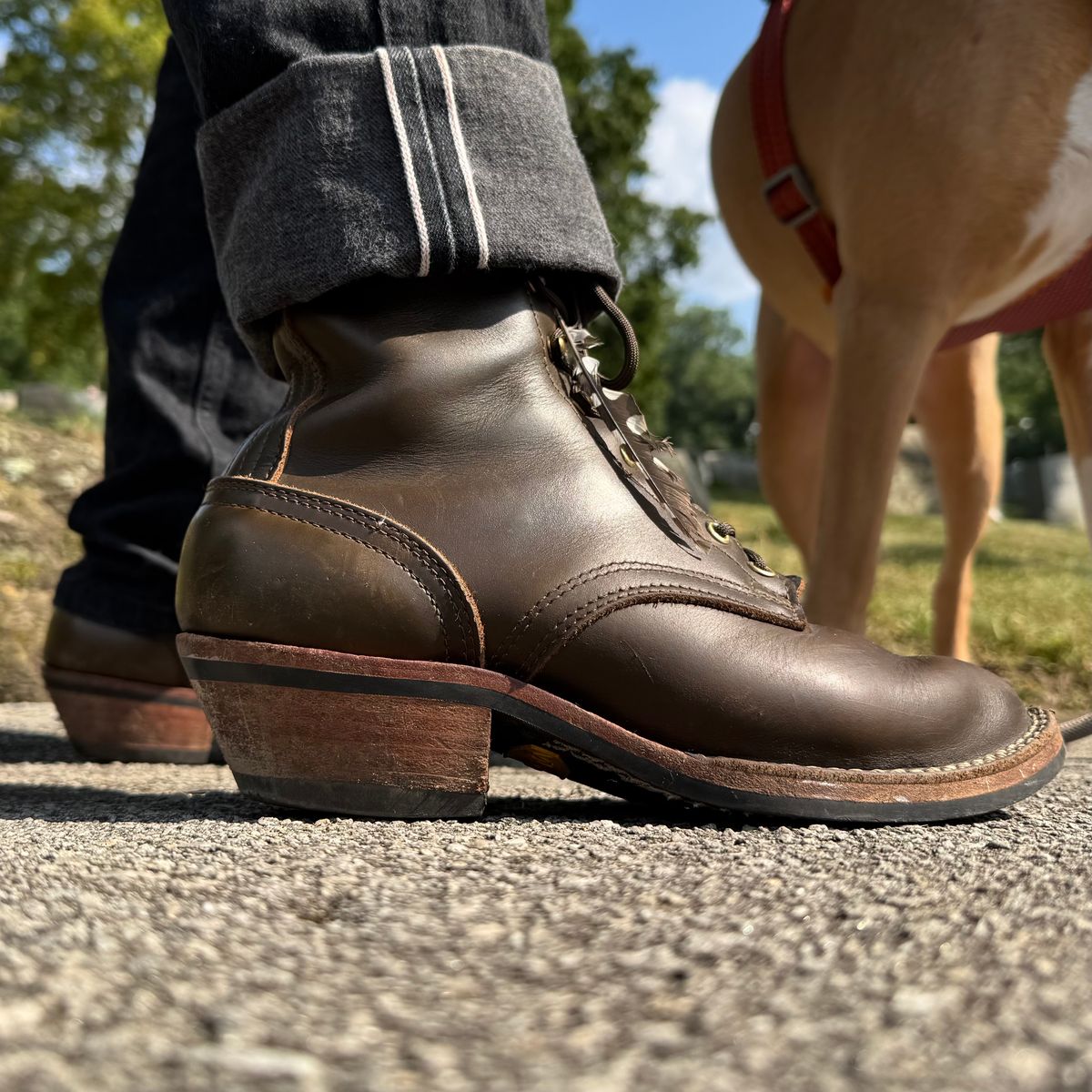 Photo by brvcha on August 7, 2025 of the Nicks Packer in Shackelton Greener Pastures.