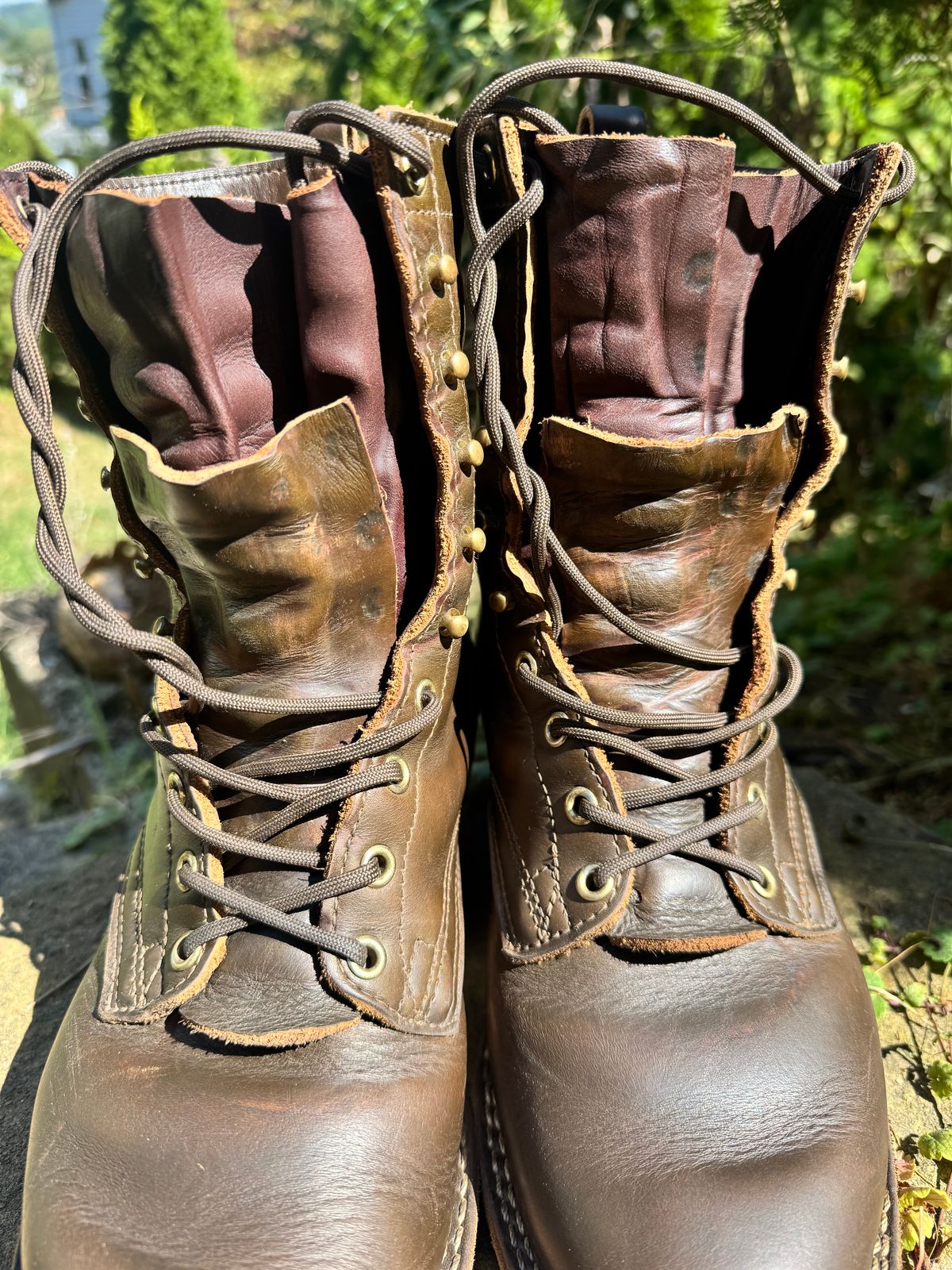 Photo by brvcha on September 13, 2025 of the Nicks Packer in Shackelton Greener Pastures.