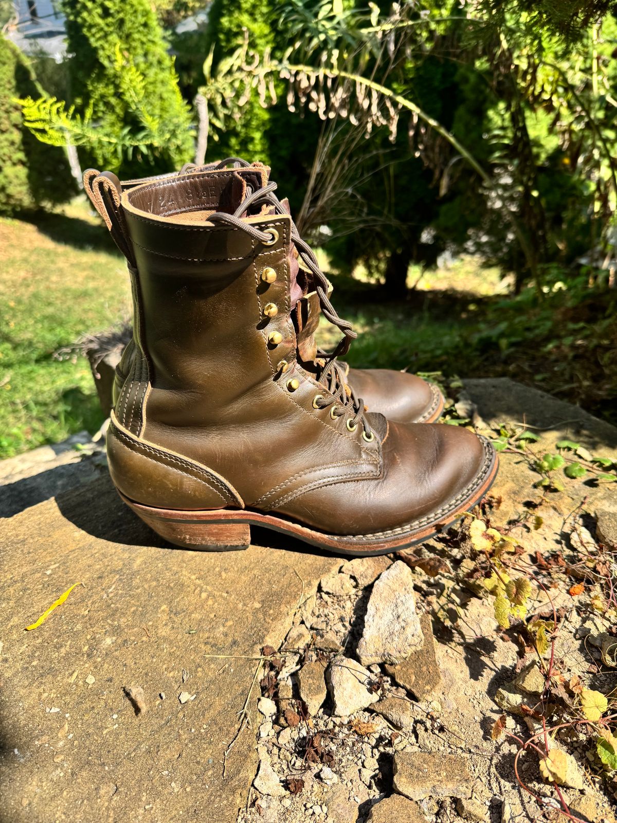 Photo by brvcha on September 13, 2025 of the Nicks Packer in Shackelton Greener Pastures.