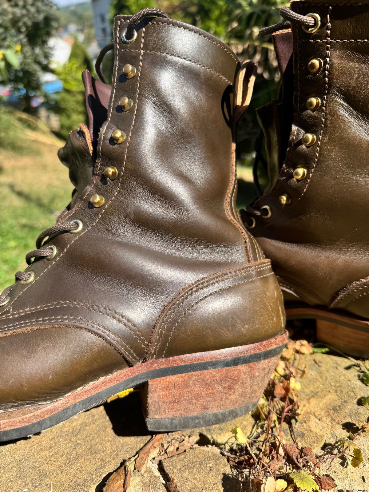 Photo by brvcha on September 13, 2025 of the Nicks Packer in Shackelton Greener Pastures.