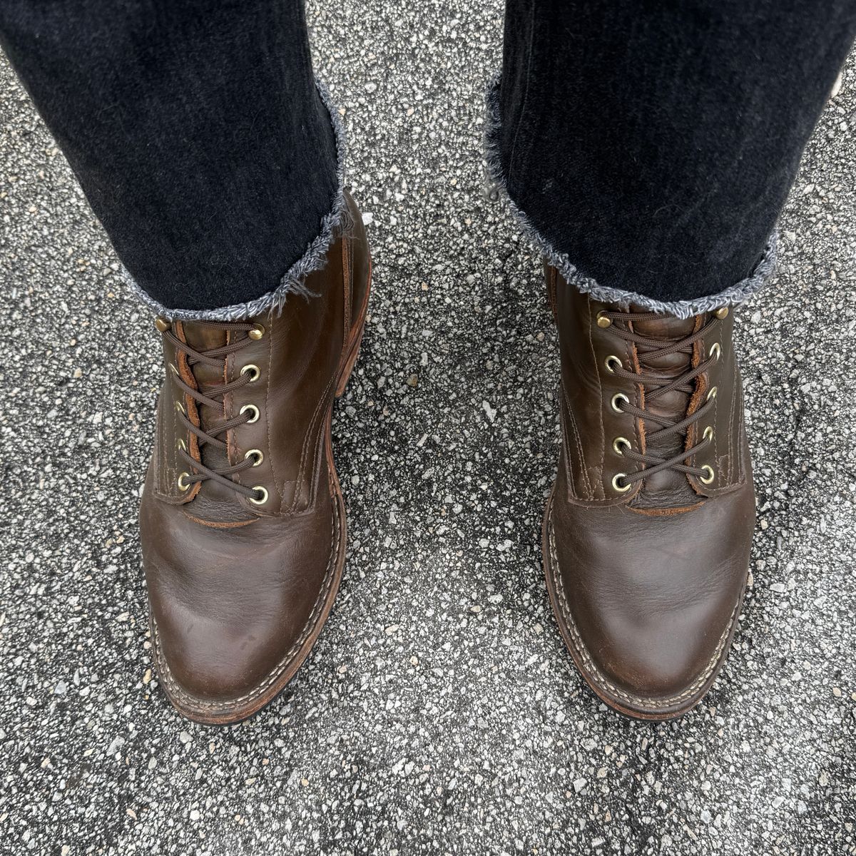 Photo by brvcha on October 12, 2025 of the Nicks Packer in Shackelton Greener Pastures.