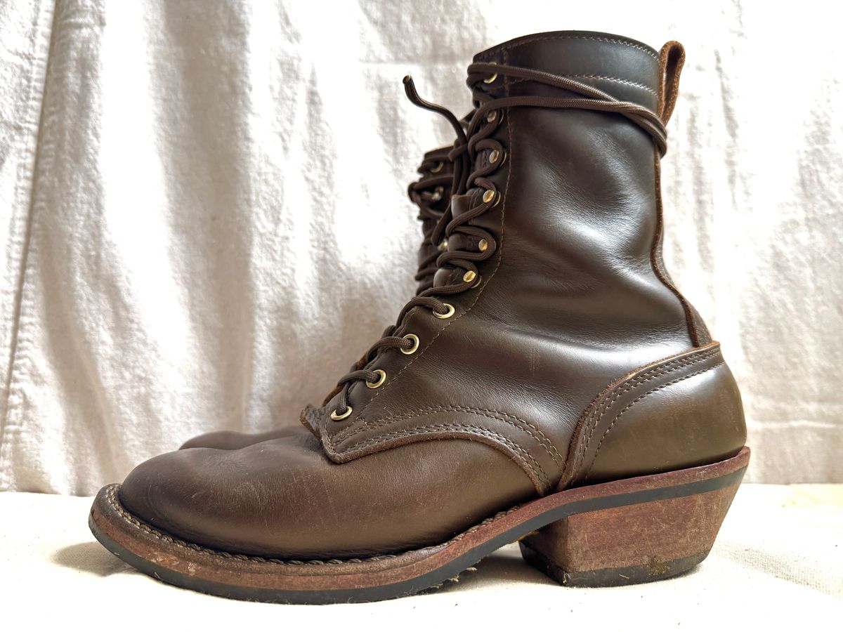 Photo by brvcha on November 9, 2025 of the Nicks Packer in Shackelton Greener Pastures.