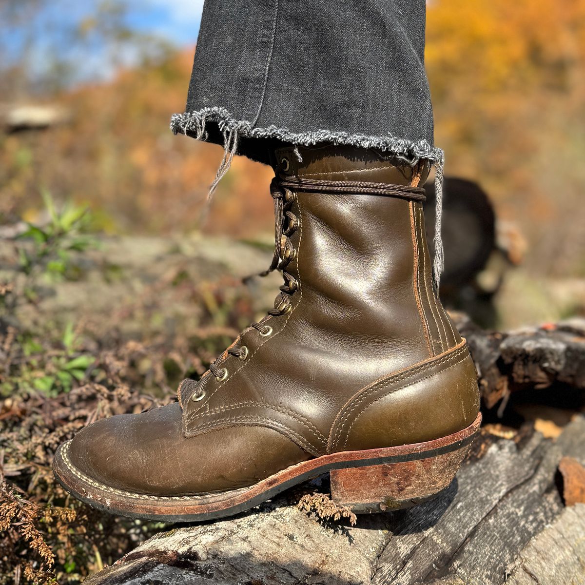 Photo by brvcha on November 9, 2025 of the Nicks Packer in Shackelton Greener Pastures.