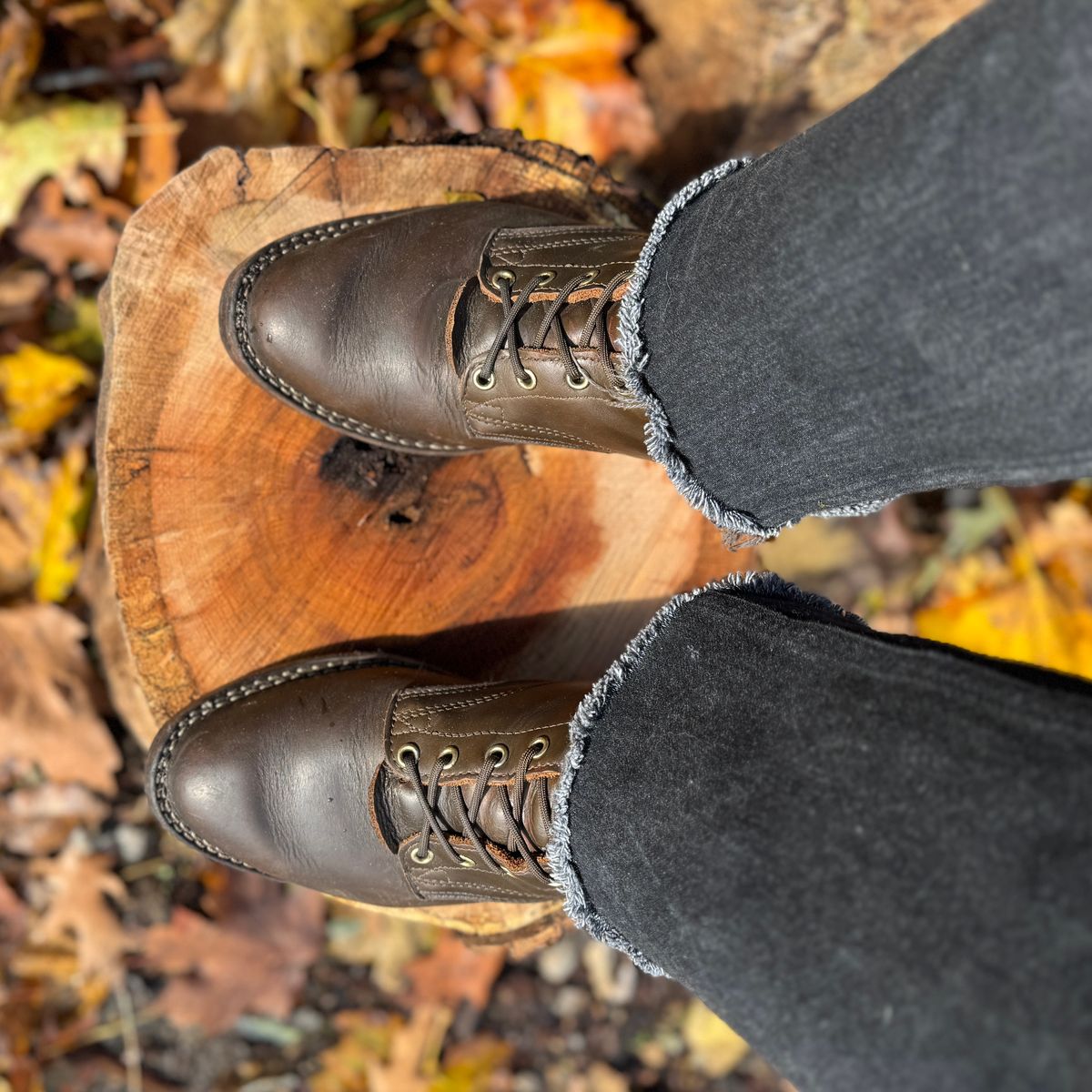 Photo by brvcha on November 9, 2025 of the Nicks Packer in Shackelton Greener Pastures.