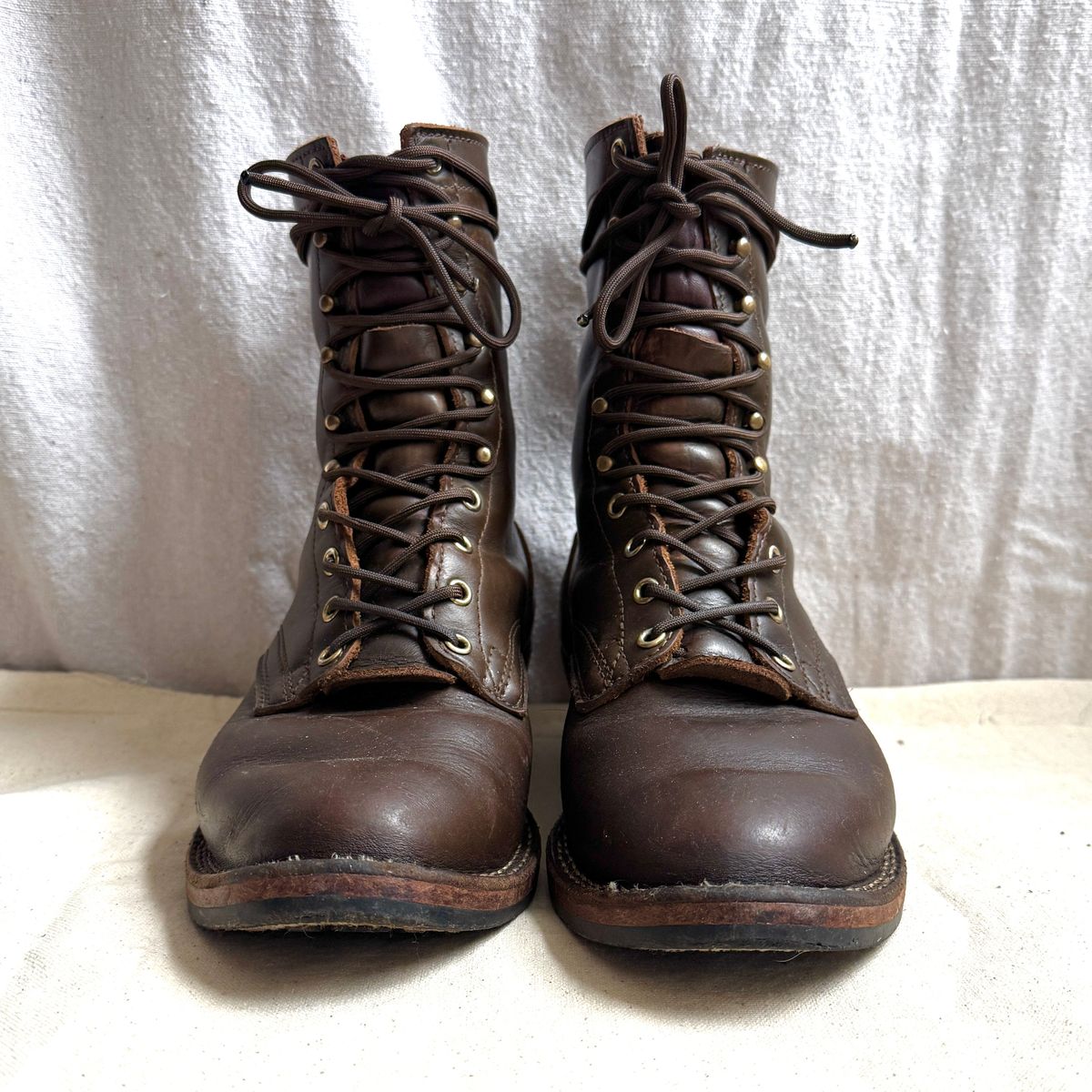 Photo by brvcha on November 9, 2025 of the Nicks Packer in Shackelton Greener Pastures.