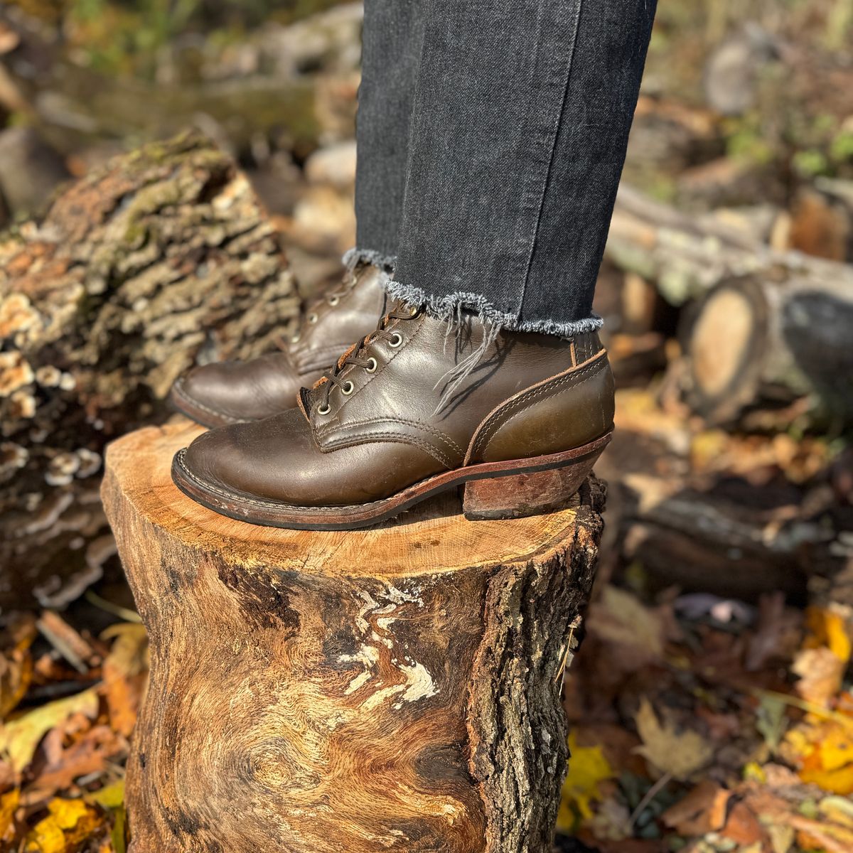 Photo by brvcha on November 9, 2025 of the Nicks Packer in Shackelton Greener Pastures.