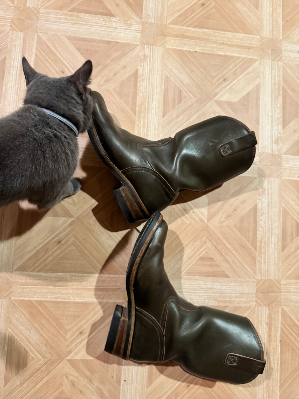 Photo by brvcha on November 15, 2024 of the Wesco Morrison in Horween Green Chromexcel.