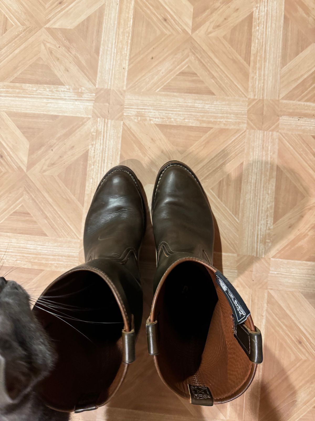 Photo by brvcha on November 15, 2024 of the Wesco Morrison in Horween Green Chromexcel.