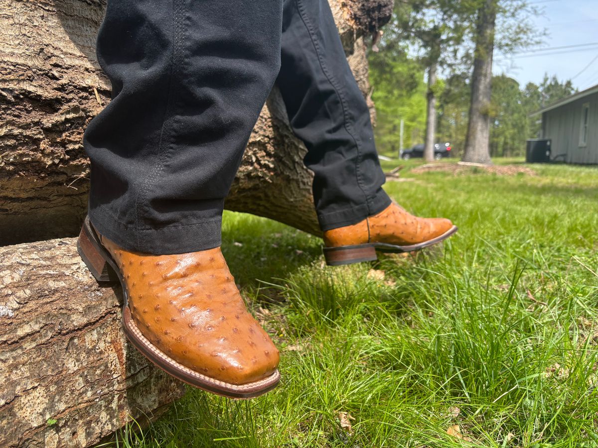 Photo by estiloR5 on April 8, 2026 of the Dan Post in Ostrich.