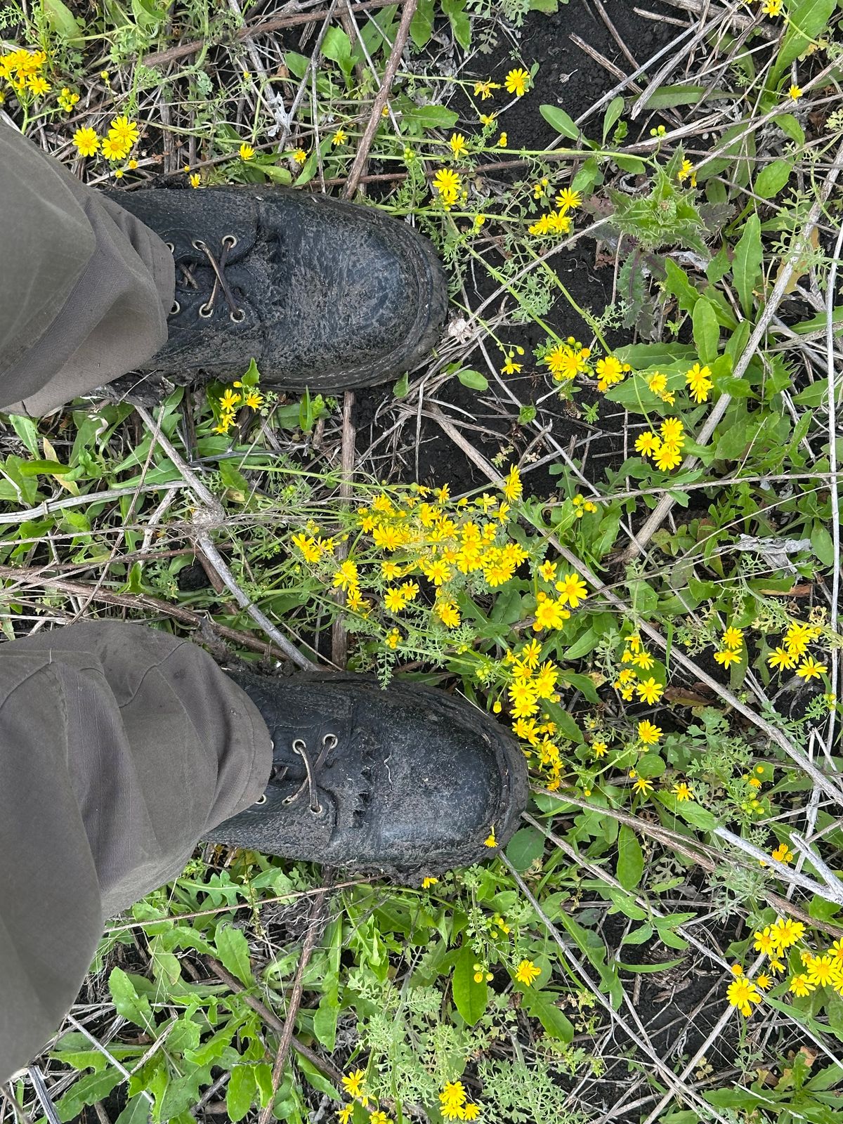 Photo by Huntsman on April 12, 2026 of the JK Boots Superduty in 8oz Shrunken Bison Shadow - (Smooth) premium oil-tanned USA Leather (Law or Seidel).