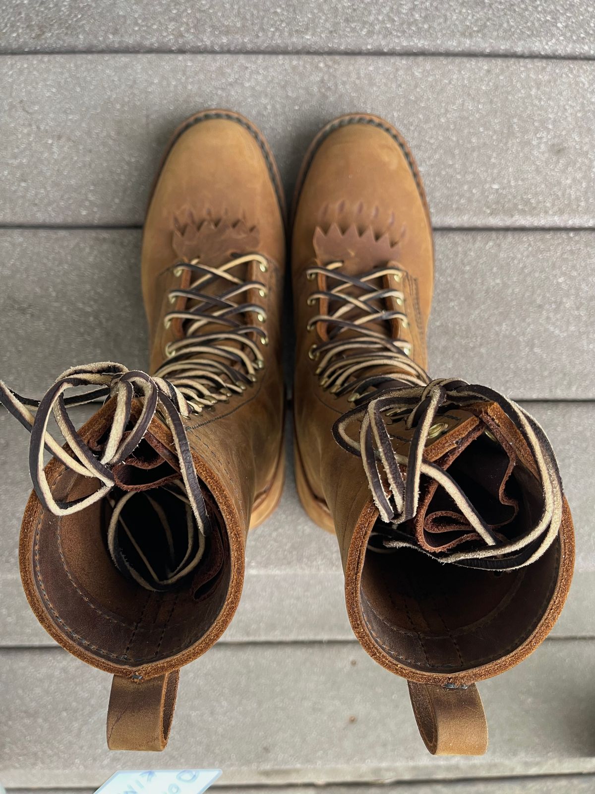 Photo by pontiuspilotus on November 1, 2025 of the Nicks Firetrooper in Seidel WeatherShield Brown.