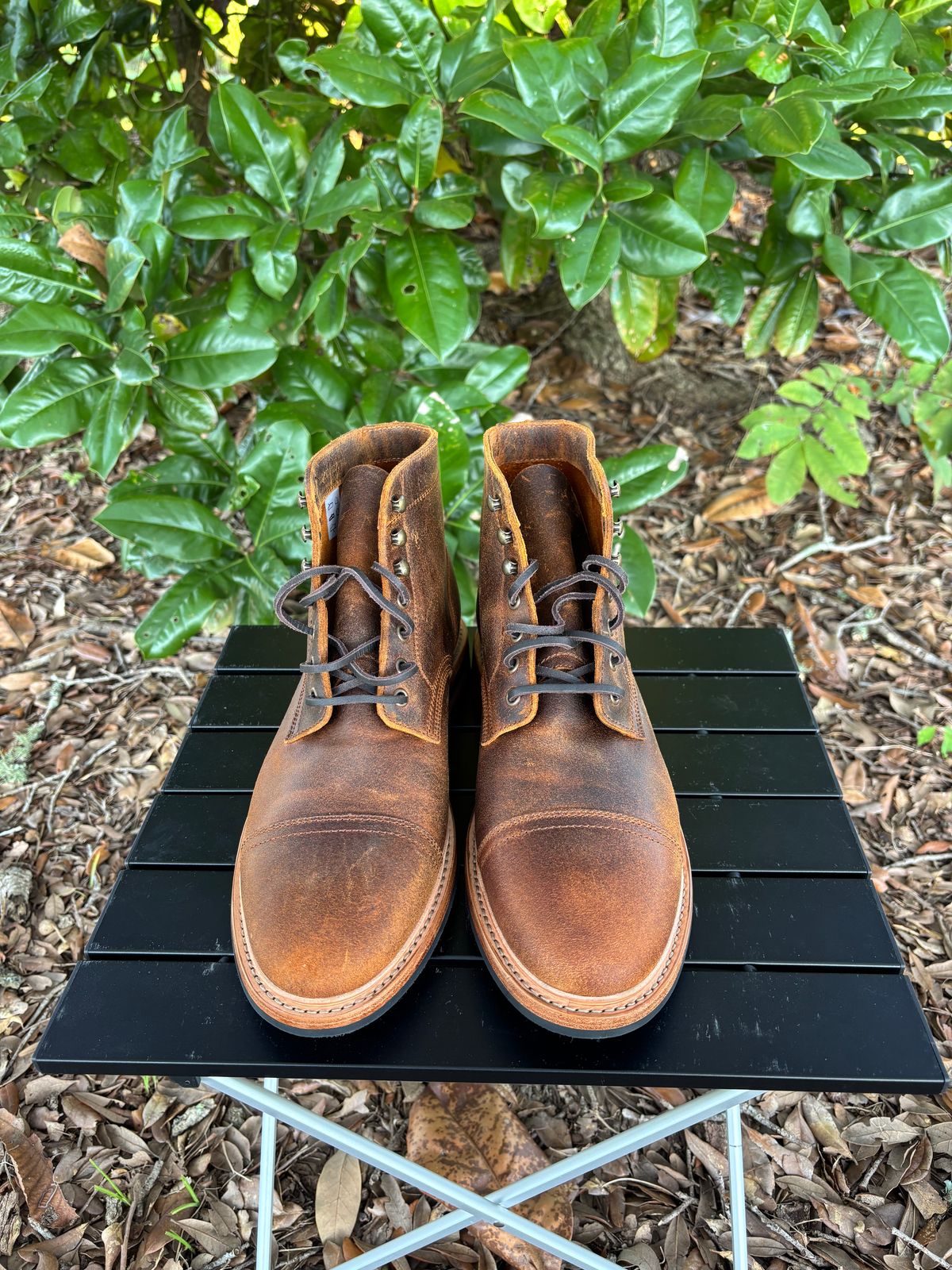 Photo by Nelms on October 1, 2025 of the Parkhurst The Richmond in C.F. Stead Wheatbuck Waxy Commander Suede.