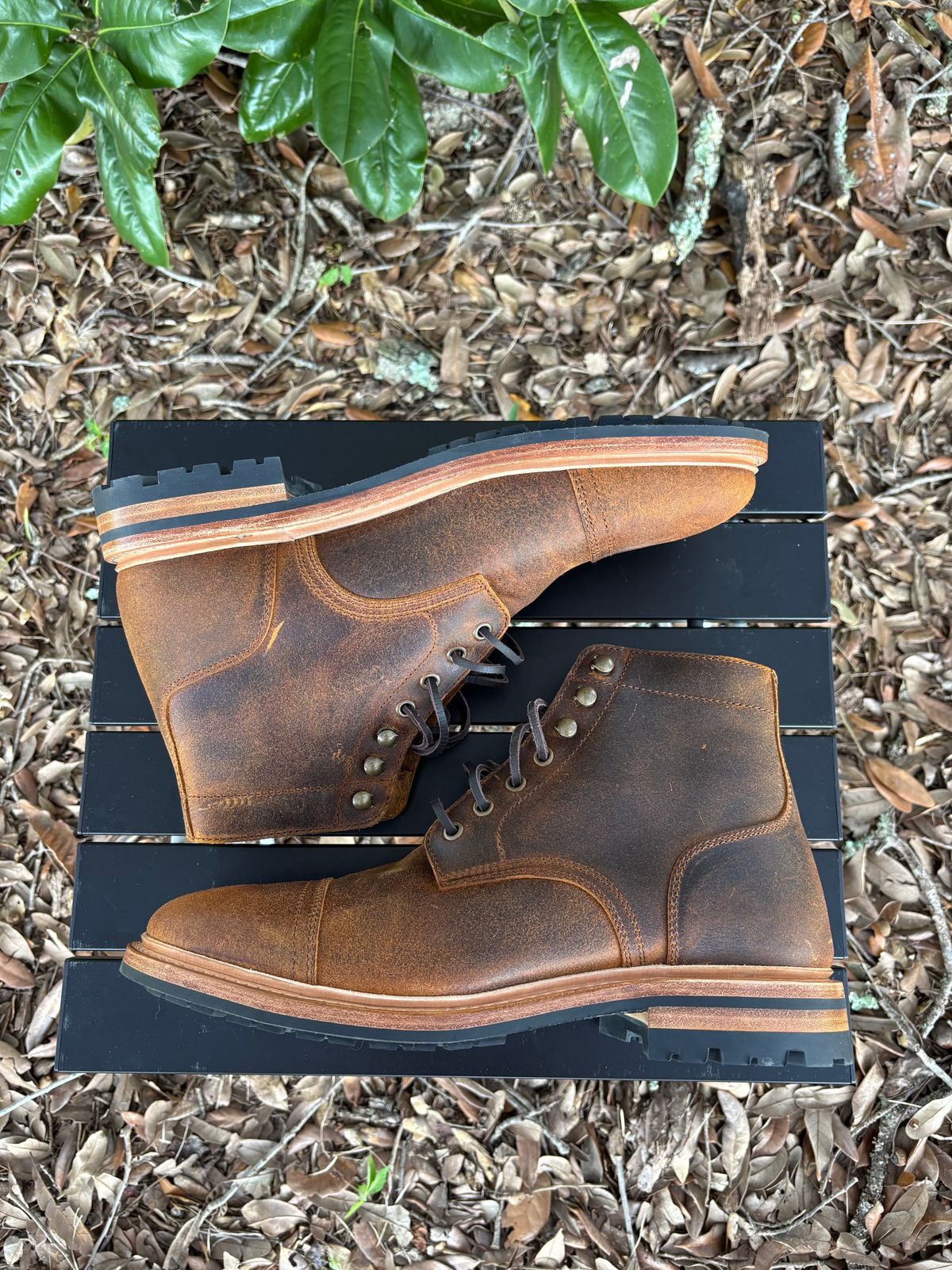 Photo by Nelms on October 1, 2025 of the Parkhurst The Richmond in C.F. Stead Wheatbuck Waxy Commander Suede.