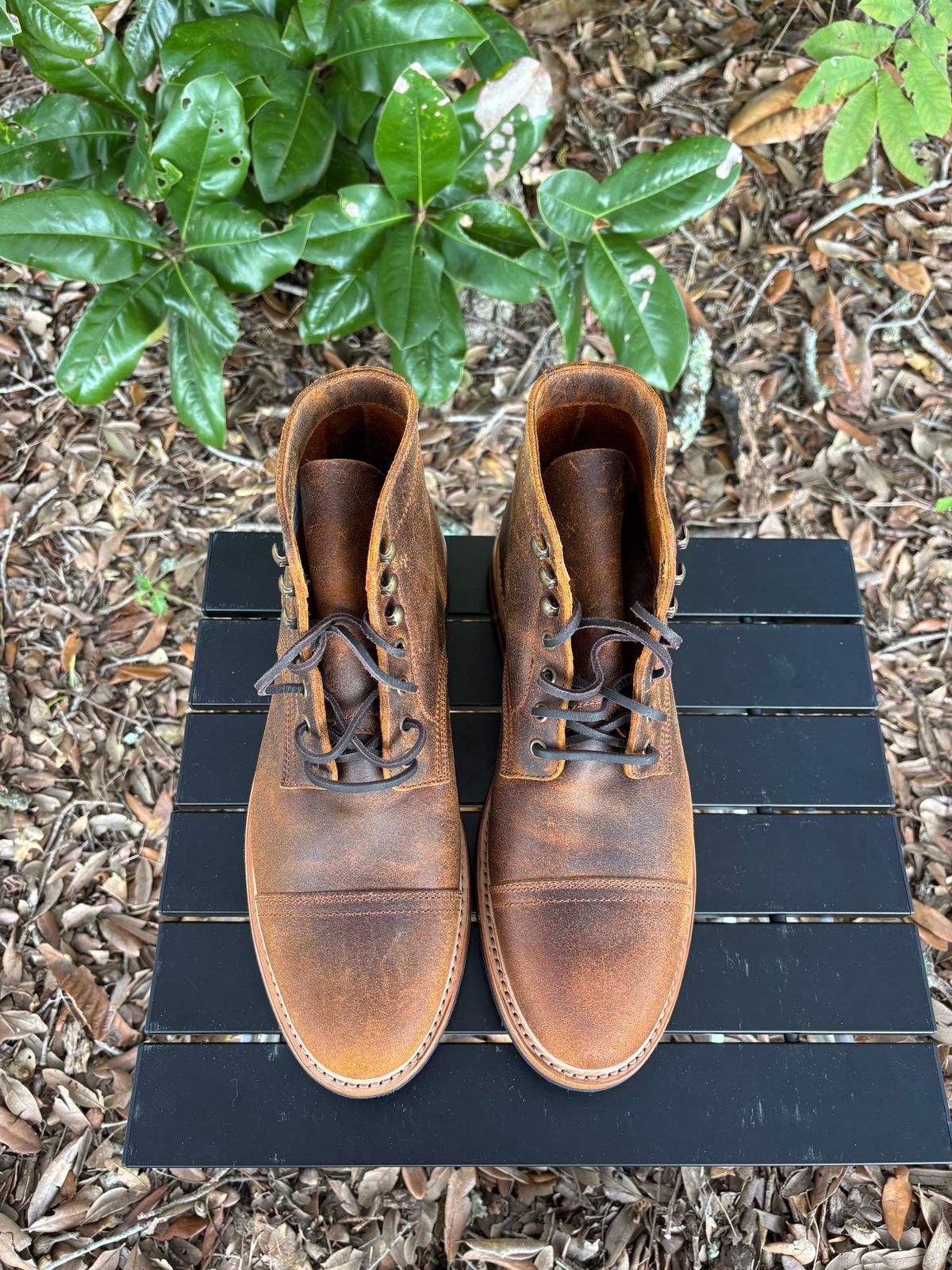 Photo by Nelms on October 1, 2025 of the Parkhurst The Richmond in C.F. Stead Wheatbuck Waxy Commander Suede.