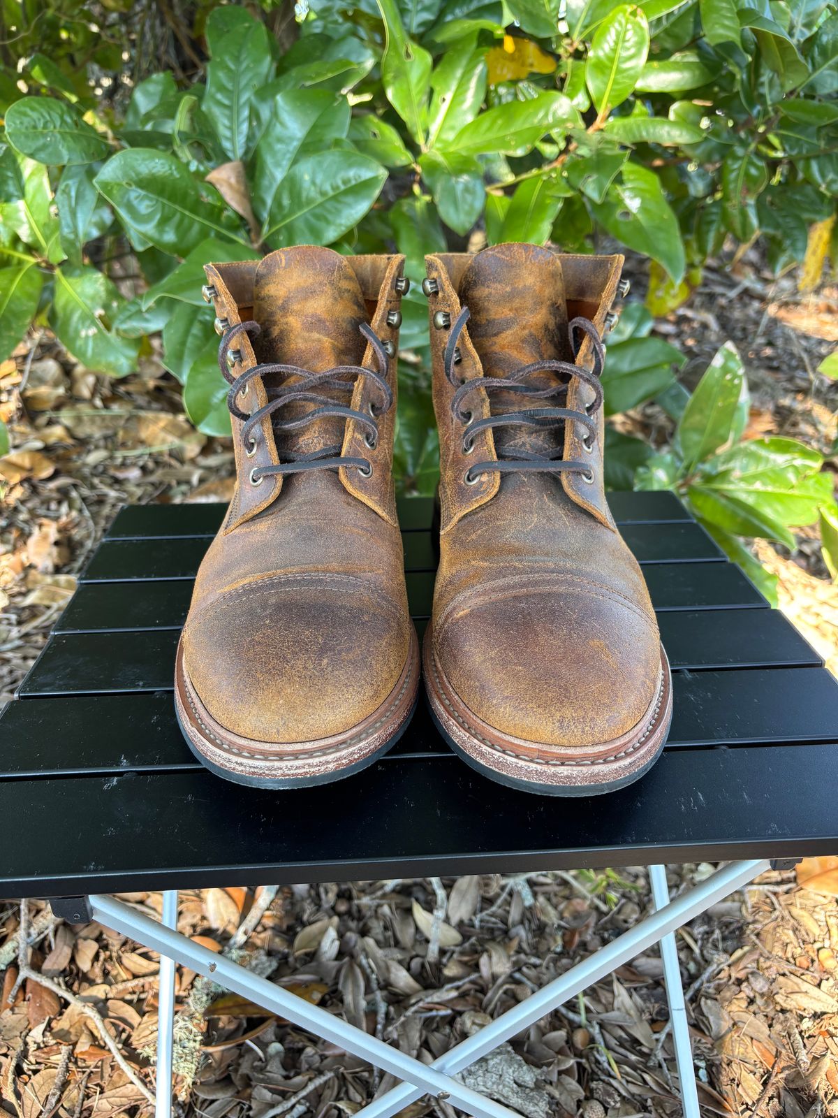 Photo by Nelms on November 2, 2025 of the Parkhurst The Richmond in C.F. Stead Wheatbuck Waxy Commander Suede.