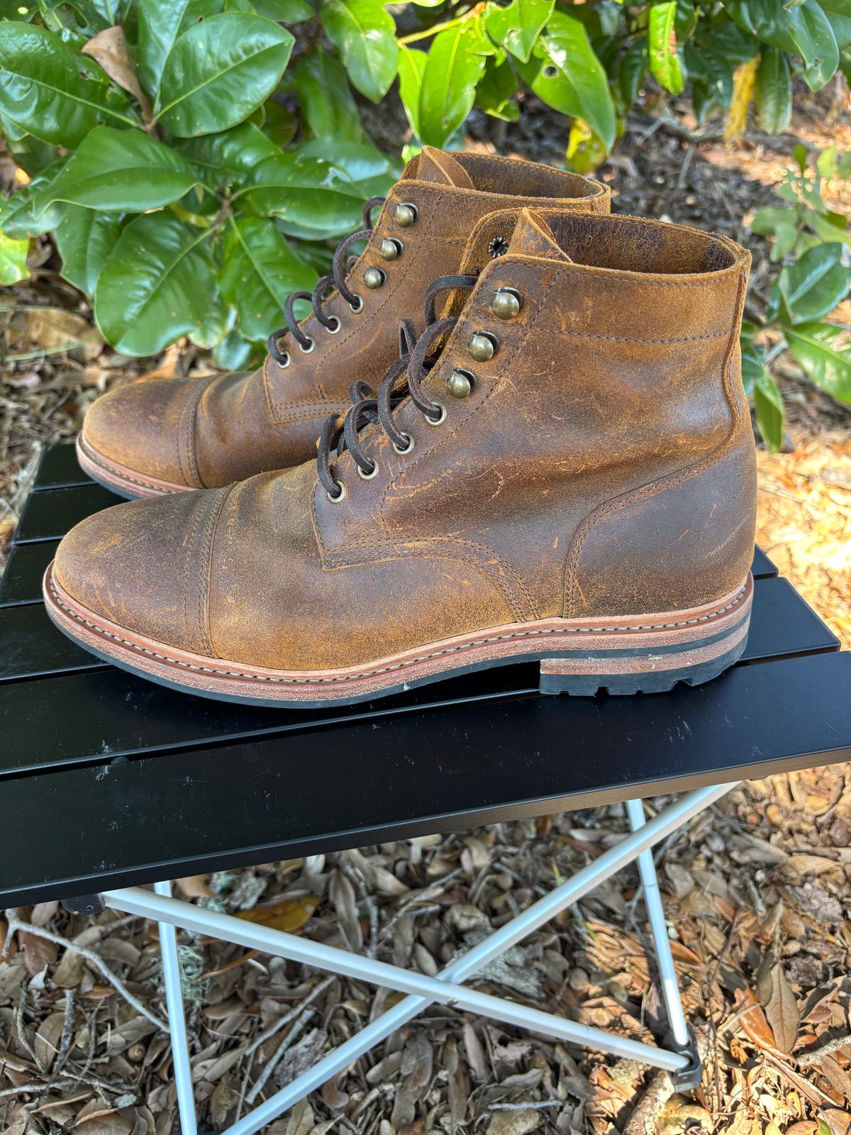 Photo by Nelms on November 2, 2025 of the Parkhurst The Richmond in C.F. Stead Wheatbuck Waxy Commander Suede.