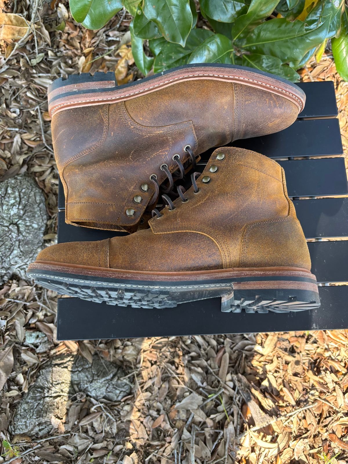 Photo by Nelms on November 2, 2025 of the Parkhurst The Richmond in C.F. Stead Wheatbuck Waxy Commander Suede.