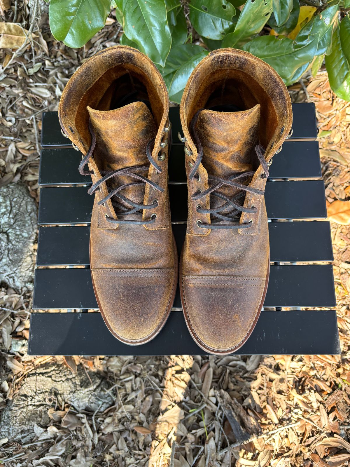 Photo by Nelms on November 2, 2025 of the Parkhurst The Richmond in C.F. Stead Wheatbuck Waxy Commander Suede.