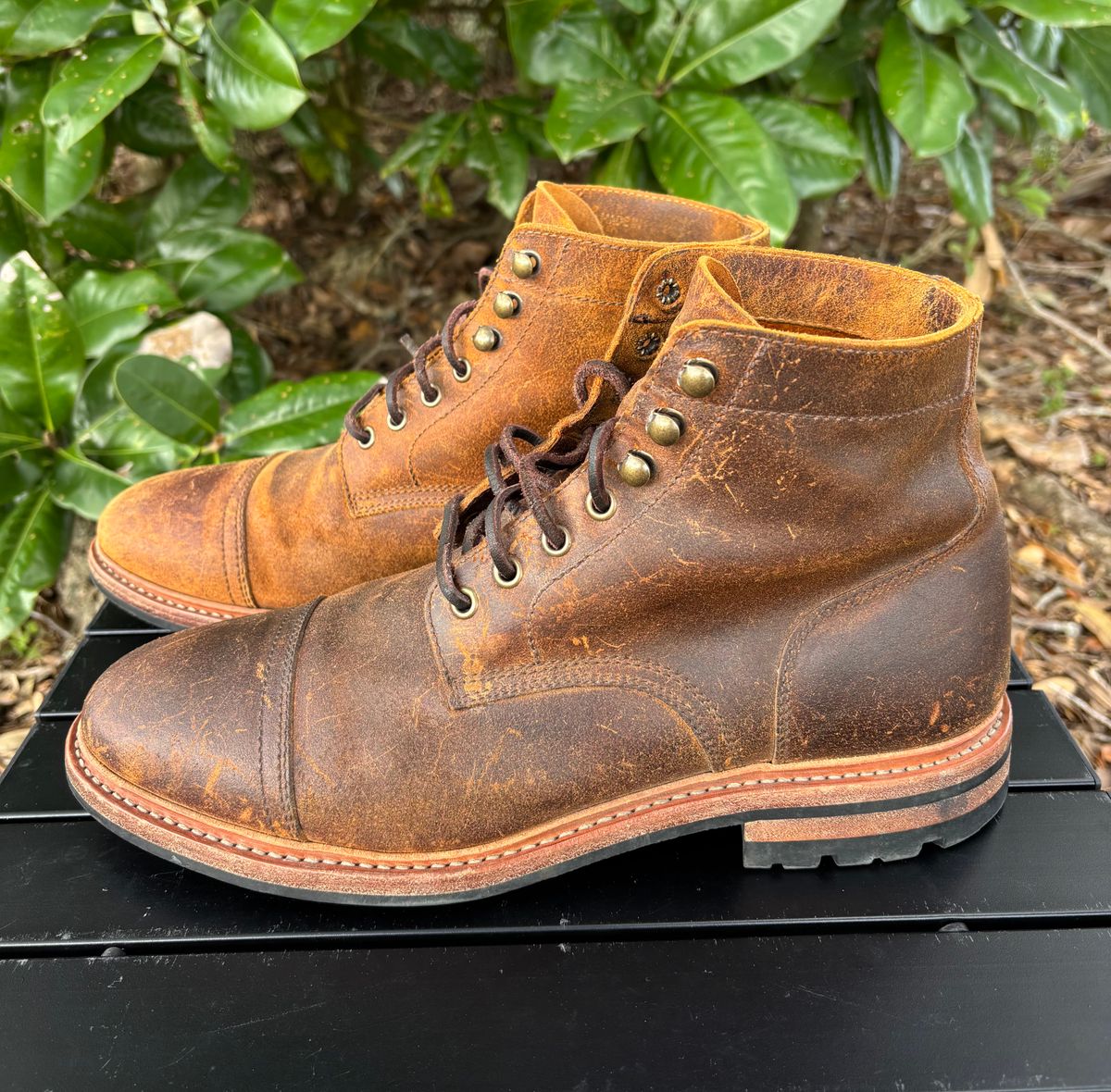 Photo by Nelms on January 2, 2026 of the Parkhurst The Richmond in C.F. Stead Wheatbuck Waxy Commander Suede.