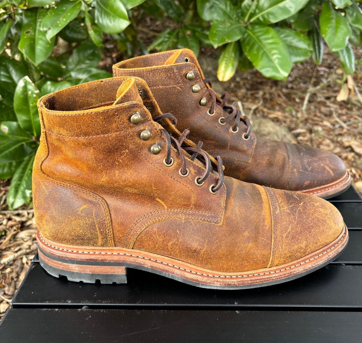 Photo by Nelms on January 2, 2026 of the Parkhurst The Richmond in C.F. Stead Wheatbuck Waxy Commander Suede.