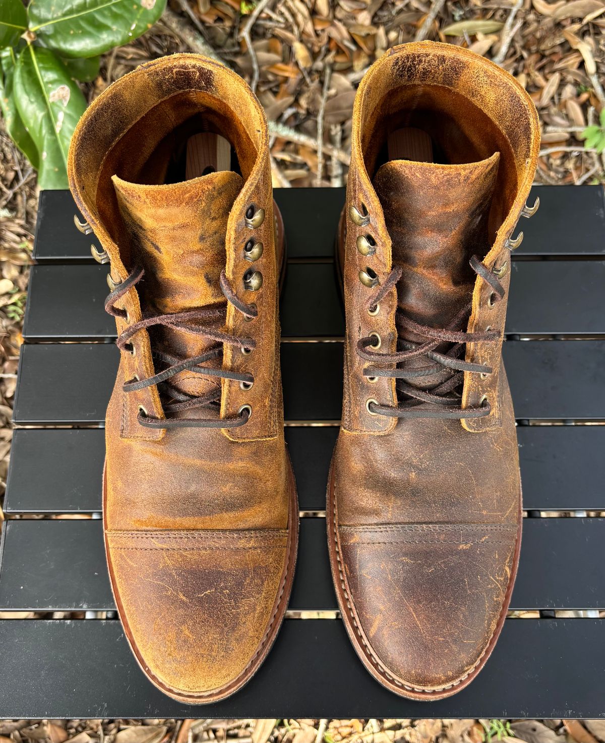 Photo by Nelms on January 2, 2026 of the Parkhurst The Richmond in C.F. Stead Wheatbuck Waxy Commander Suede.