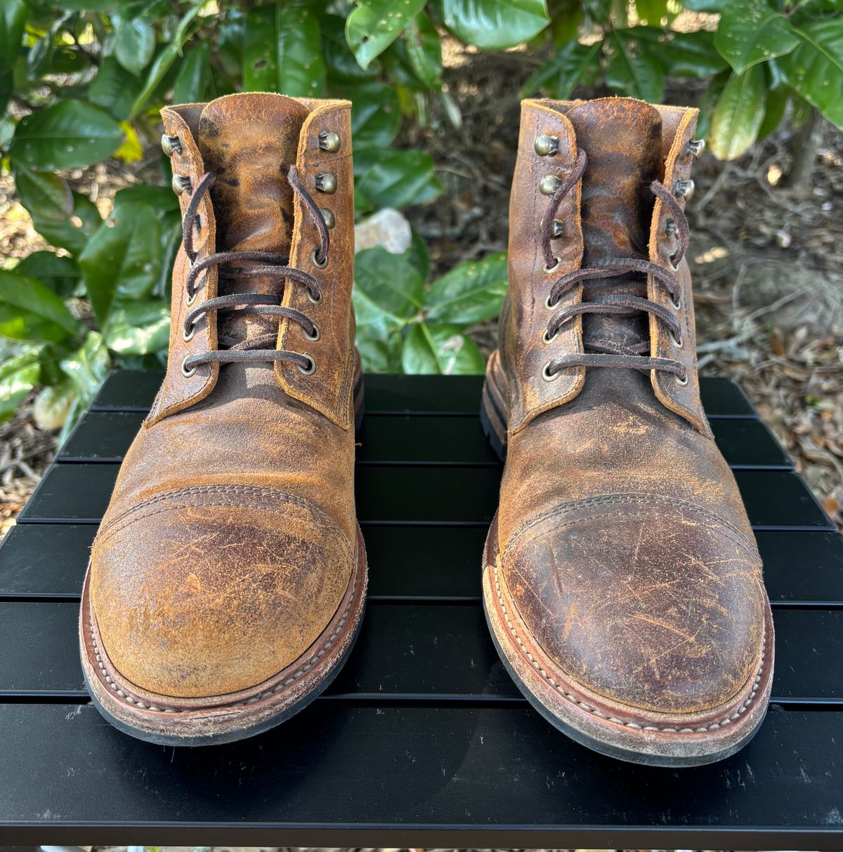 Photo by Nelms on February 2, 2026 of the Parkhurst The Richmond in C.F. Stead Wheatbuck Waxy Commander Suede.