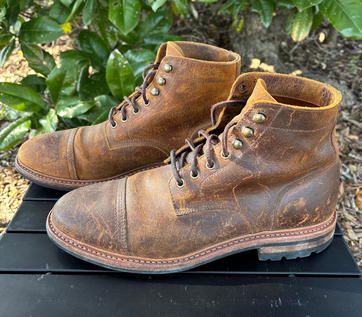 Photo by Nelms on February 2, 2026 of the Parkhurst The Richmond in C.F. Stead Wheatbuck Waxy Commander Suede.