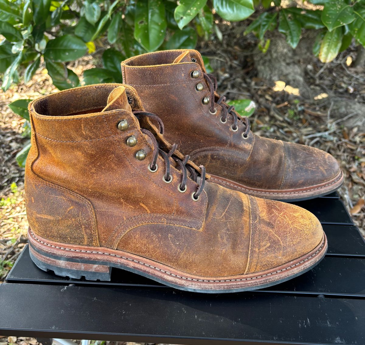 Photo by Nelms on February 2, 2026 of the Parkhurst The Richmond in C.F. Stead Wheatbuck Waxy Commander Suede.