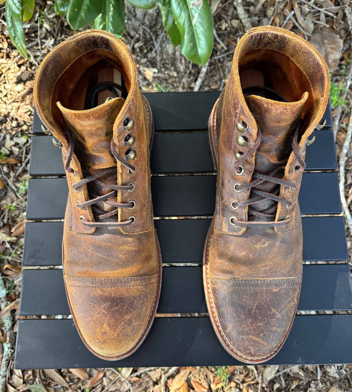 Photo by Nelms on February 2, 2026 of the Parkhurst The Richmond in C.F. Stead Wheatbuck Waxy Commander Suede.