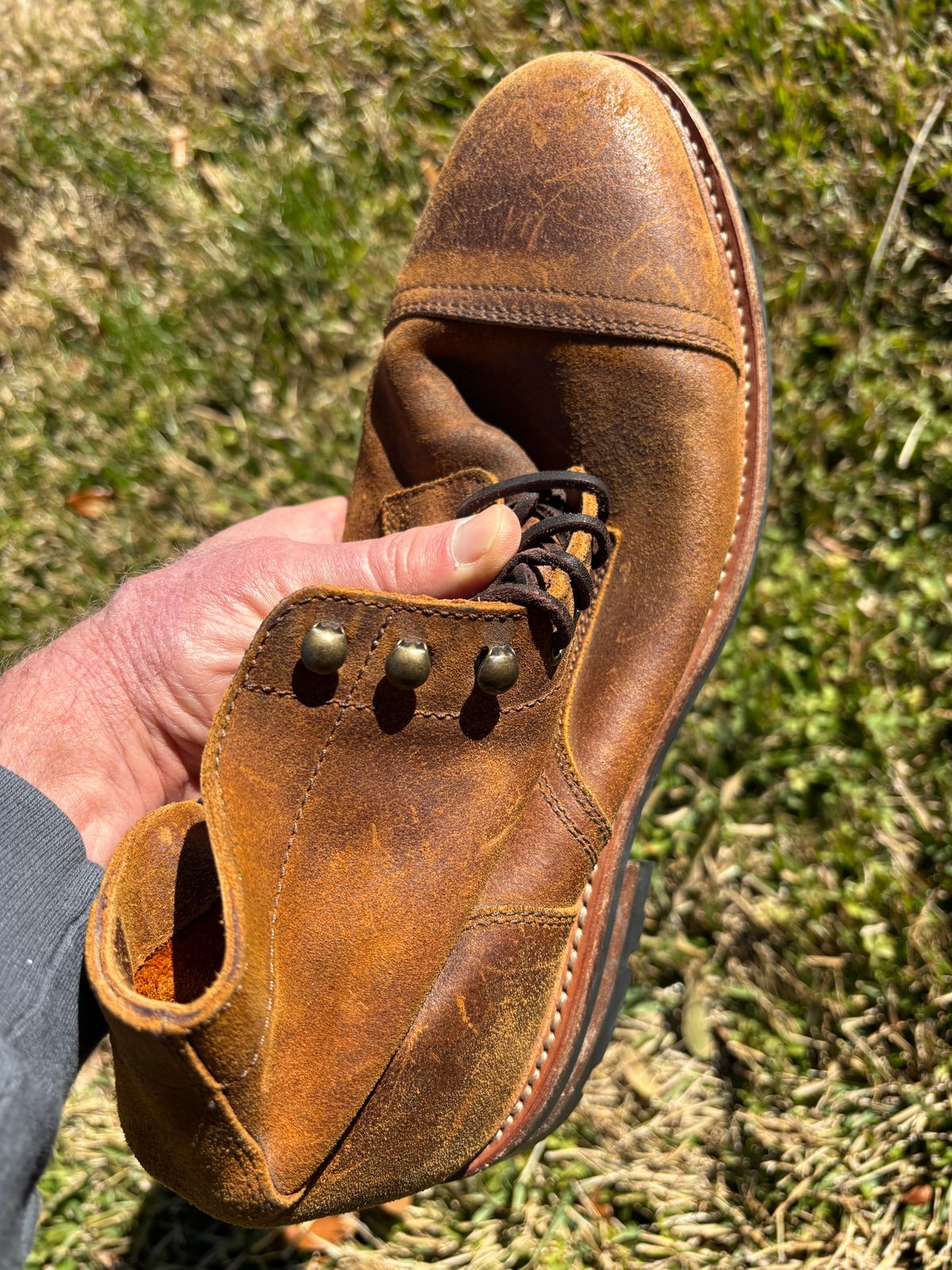 Photo by Nelms on February 6, 2026 of the Parkhurst The Richmond in C.F. Stead Wheatbuck Waxy Commander Suede.