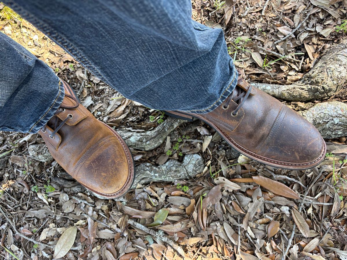 Photo by Nelms on February 6, 2026 of the Parkhurst The Richmond in C.F. Stead Wheatbuck Waxy Commander Suede.