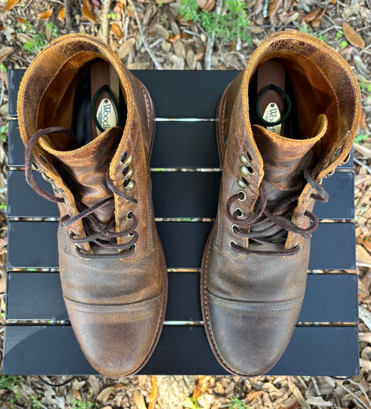 Photo by Nelms on March 1, 2026 of the Parkhurst The Richmond in C.F. Stead Wheatbuck Waxy Commander Suede.