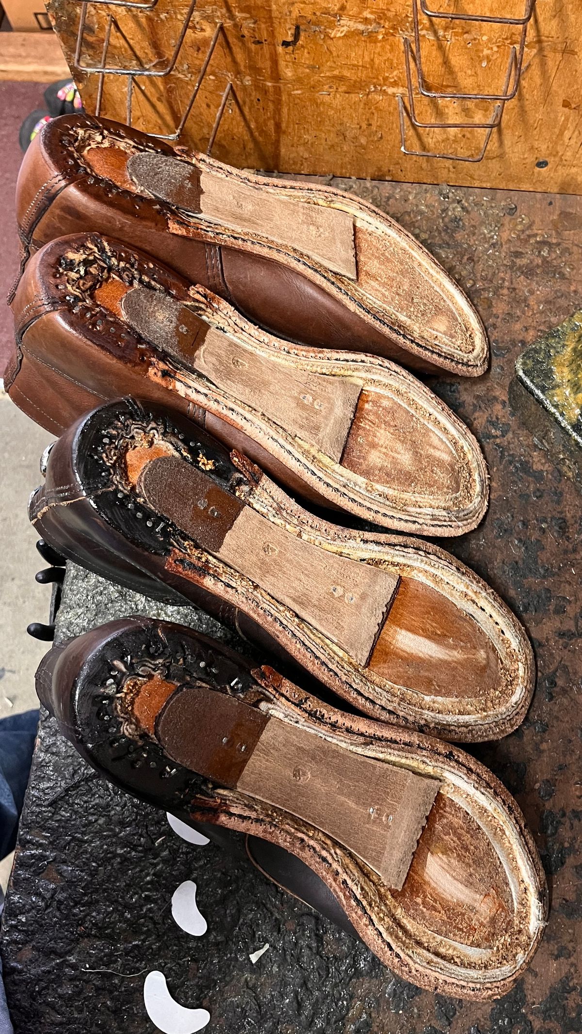 Photo by libbo on October 4, 2024 of the Redwing Merchant in S.B. Foot Amber Harness.