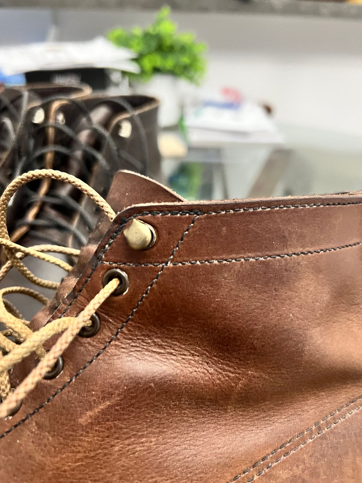 Photo by libbo on October 11, 2024 of the Redwing Merchant in S.B. Foot Amber Harness.