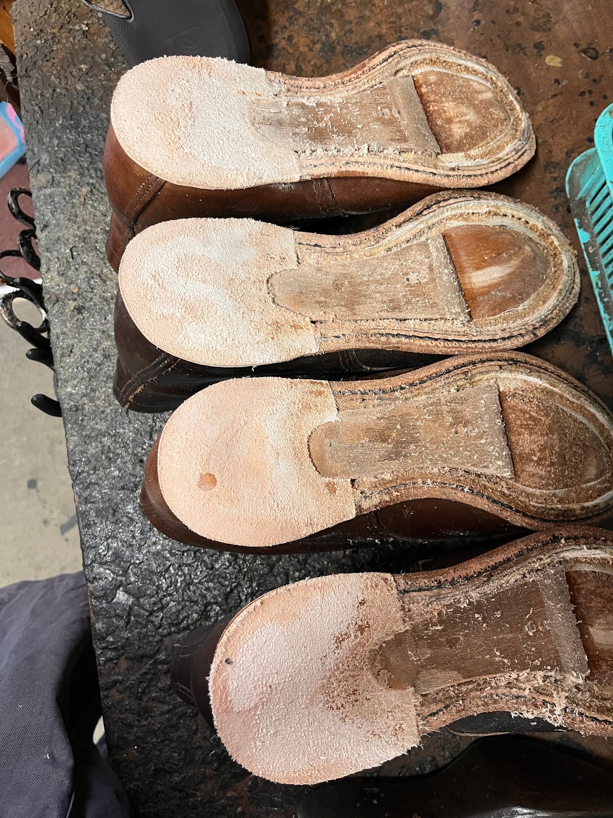 Photo by libbo on October 7, 2024 of the Redwing Merchant in S.B. Foot Amber Harness.
