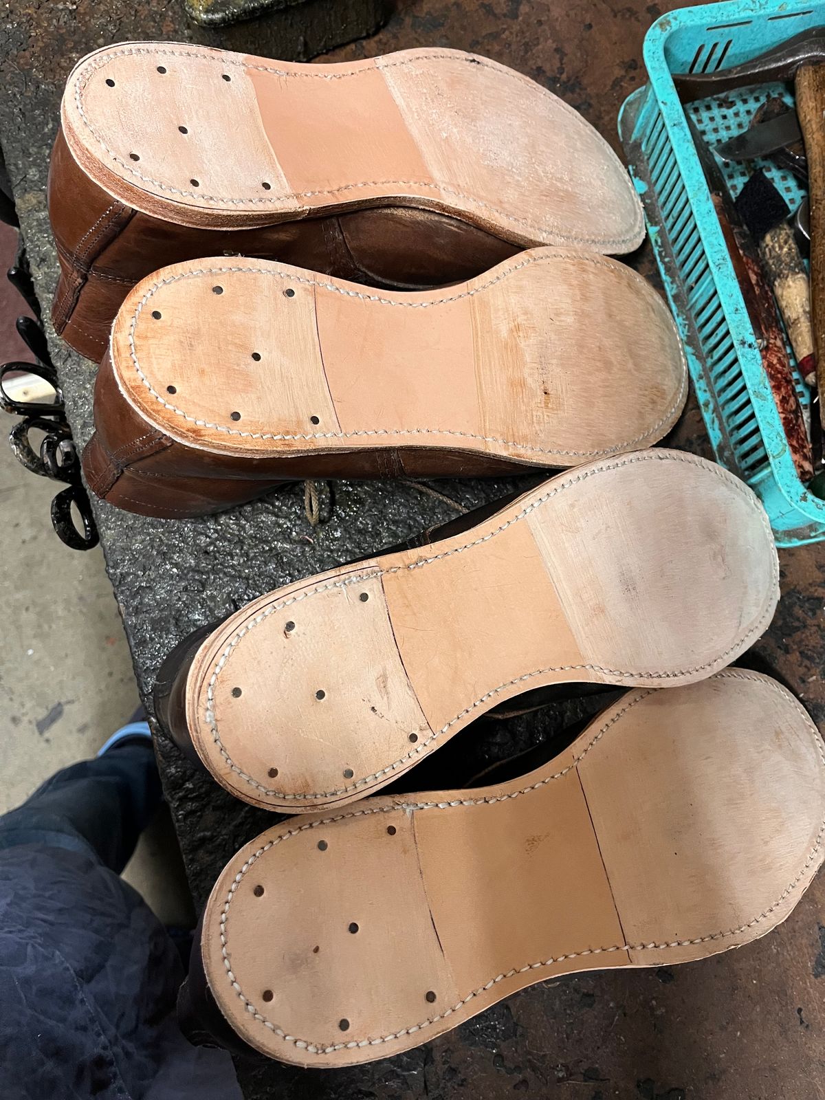 Photo by libbo on October 10, 2024 of the Redwing Merchant in S.B. Foot Amber Harness.