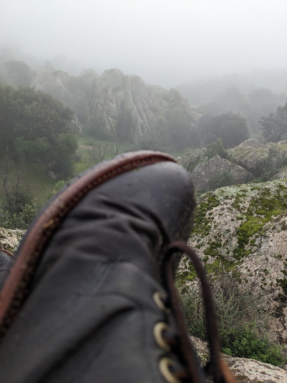 Photo by SimOnthEdge on November 2, 2024 of the Grant Stone Diesel Boot in Incas Jungle Kangaroo.