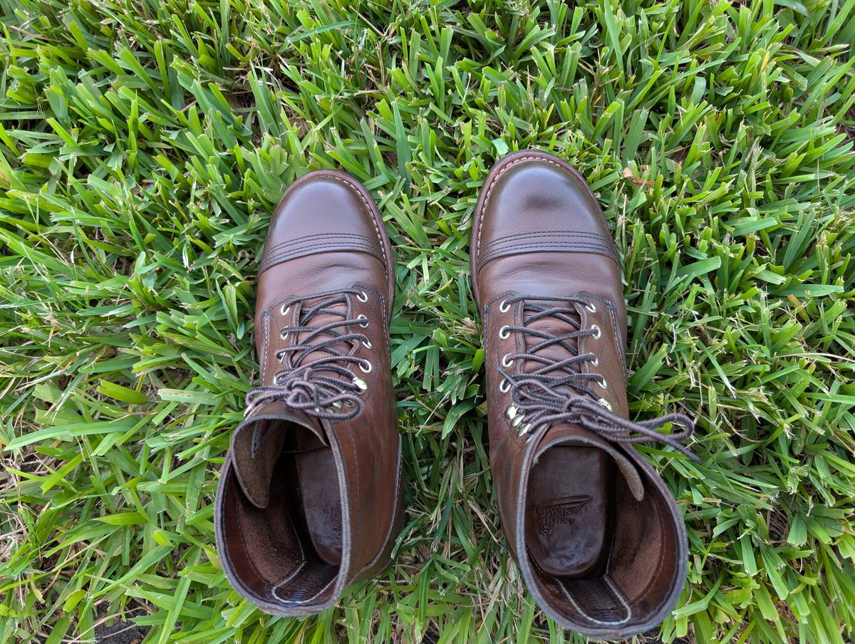 Photo by KNC on June 28, 2025 of the Red Wing Iron Ranger in S.B. Foot Amber Harness.