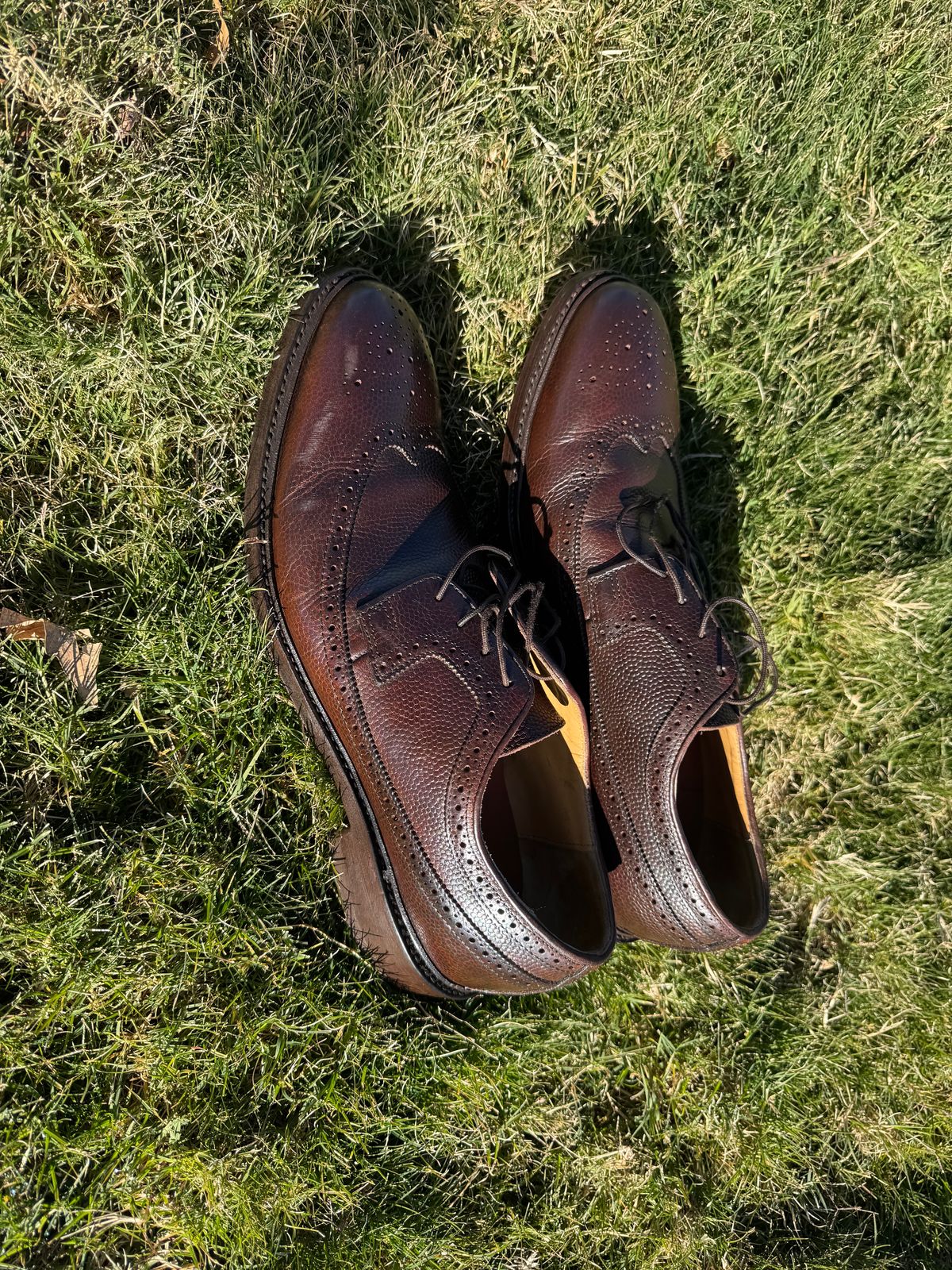 Photo by BamaBoyinTx on December 11, 2024 of the Johnston & Murphy Wingtip in Horween Football.