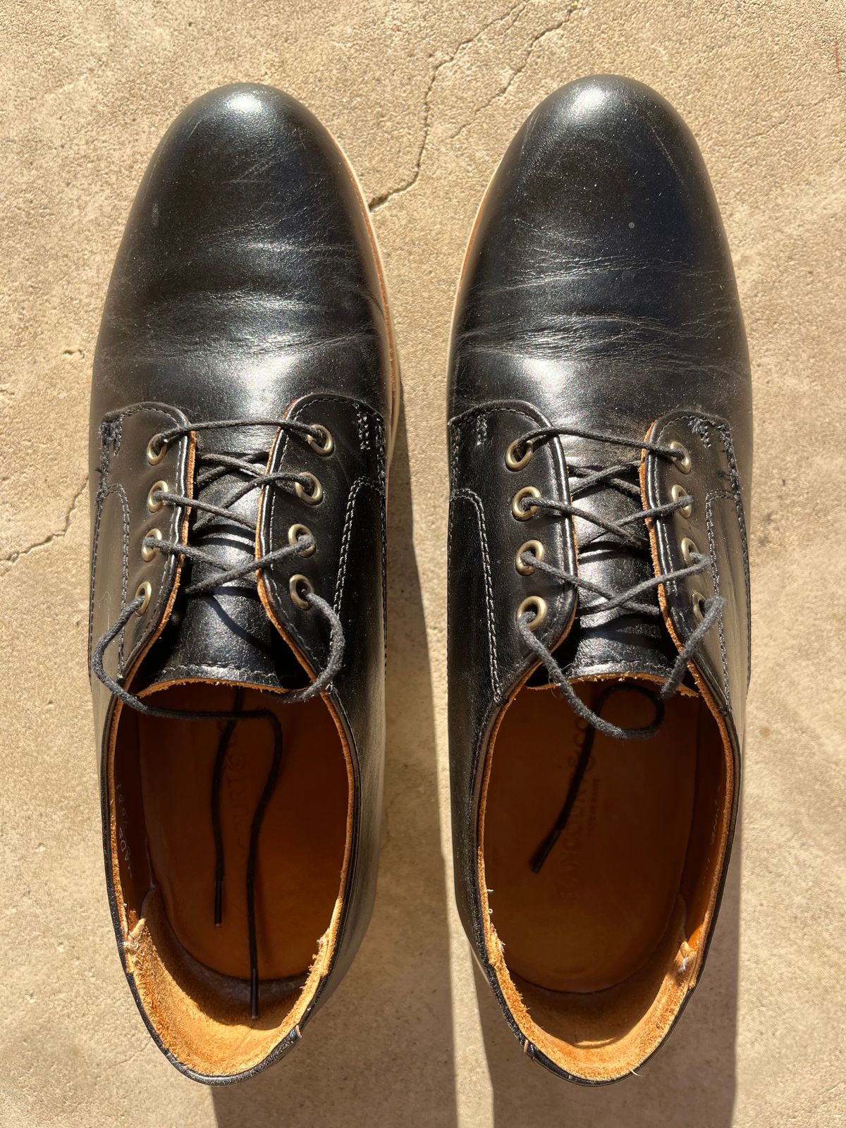Photo by ewolarsky on November 2, 2024 of the Rancourt & Co. Dirigo Derby in Horween Black Chromexcel.