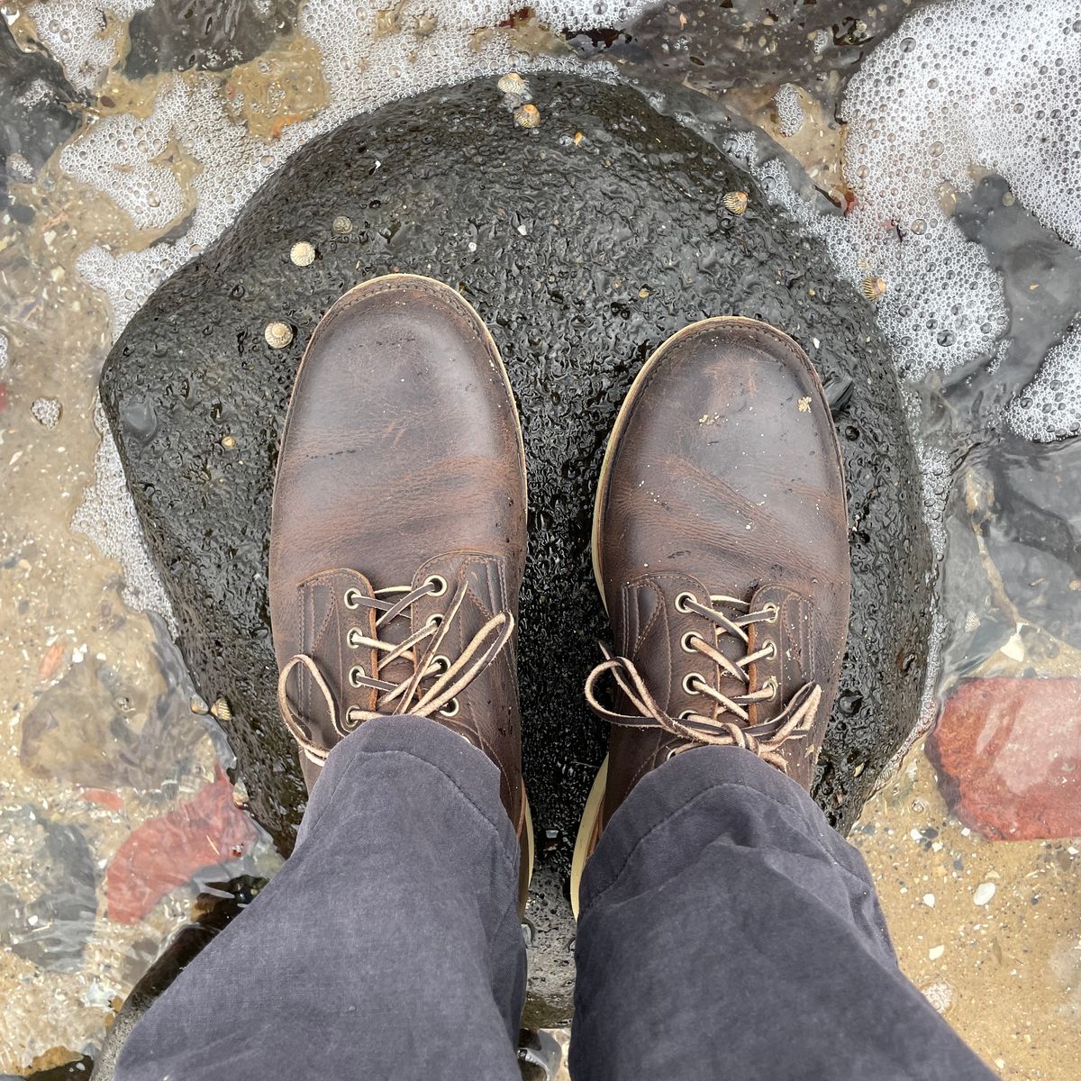 Photo by roycehamptontho on November 5, 2024 of the Viberg 145 Oxford in C.F. Stead Zulu Waxed Kudu.