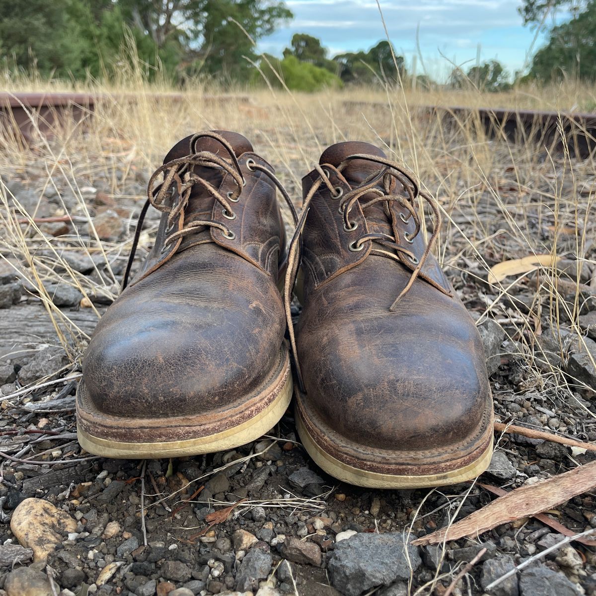 Photo by roycehamptontho on March 1, 2025 of the Viberg 145 Oxford in C.F. Stead Zulu Waxed Kudu.