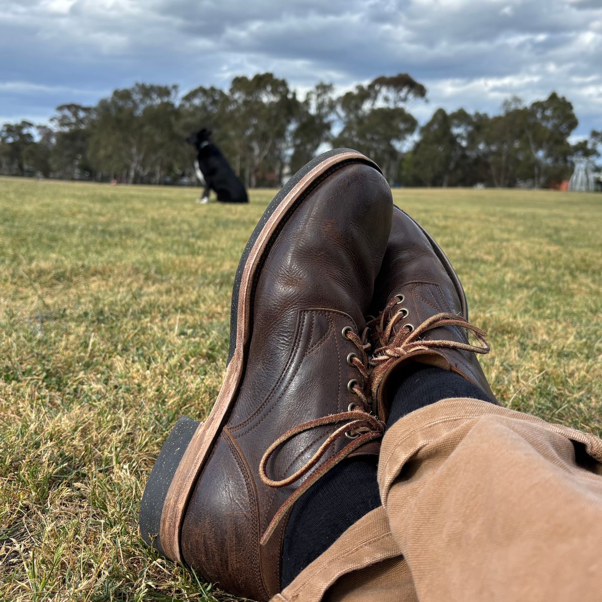 Photo by roycehamptontho on October 8, 2025 of the Viberg 145 Oxford in C.F. Stead Zulu Waxed Kudu.