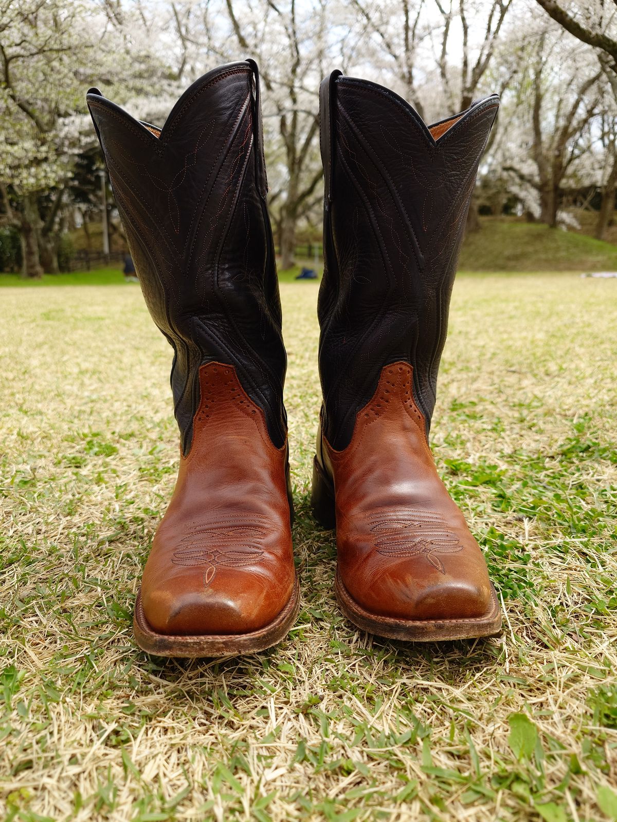 Photo by life.is.babe on April 5, 2025 of the Rios of Mercedes Cowboy Boots in Rios of Mercedes / Redwood Mirage & Rios of Mercedes / Black Remuda.