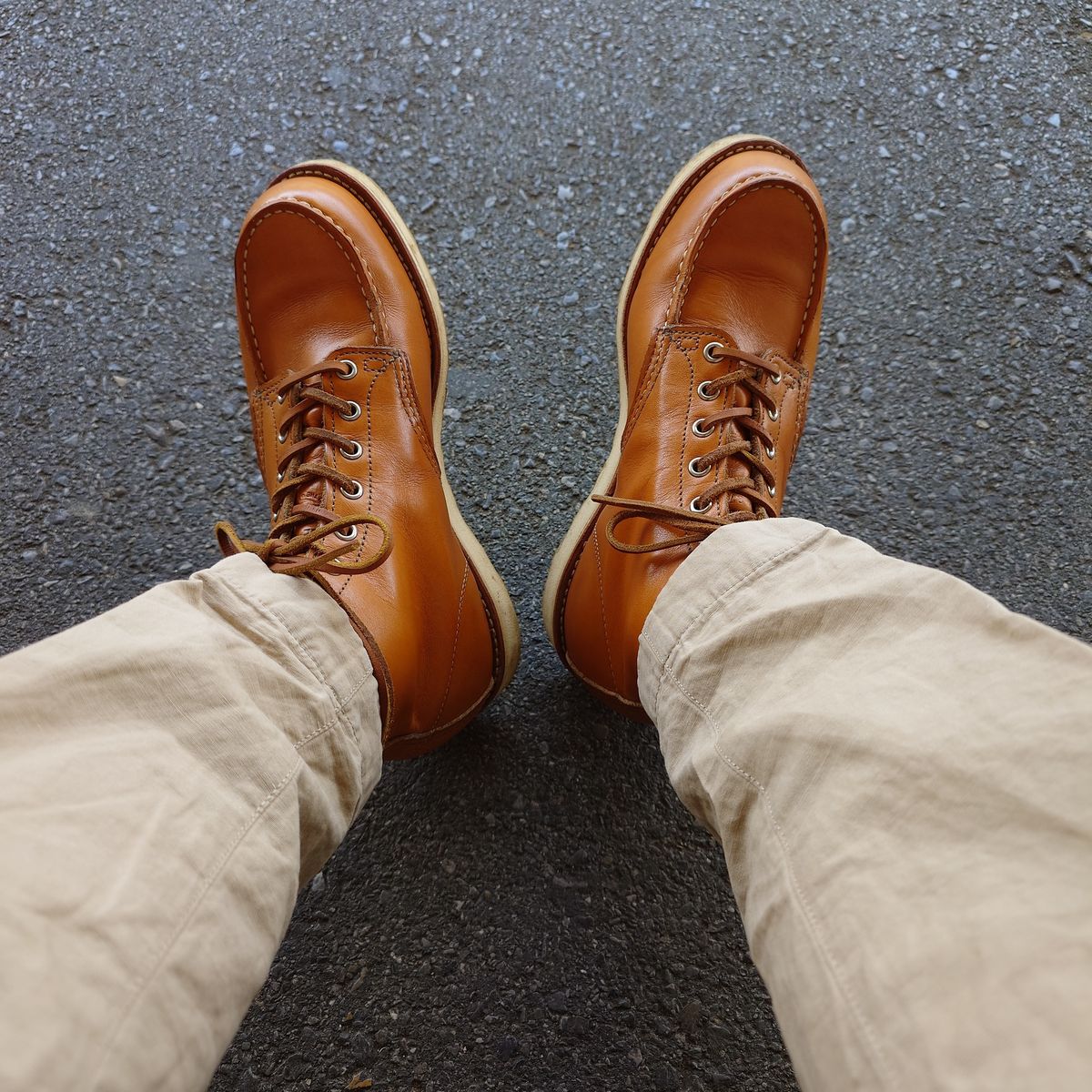 Photo by life.is.babe on May 3, 2024 of the Red Wing 6-Inch Classic Moc in S.B. Foot Sequoia Gold Russet.