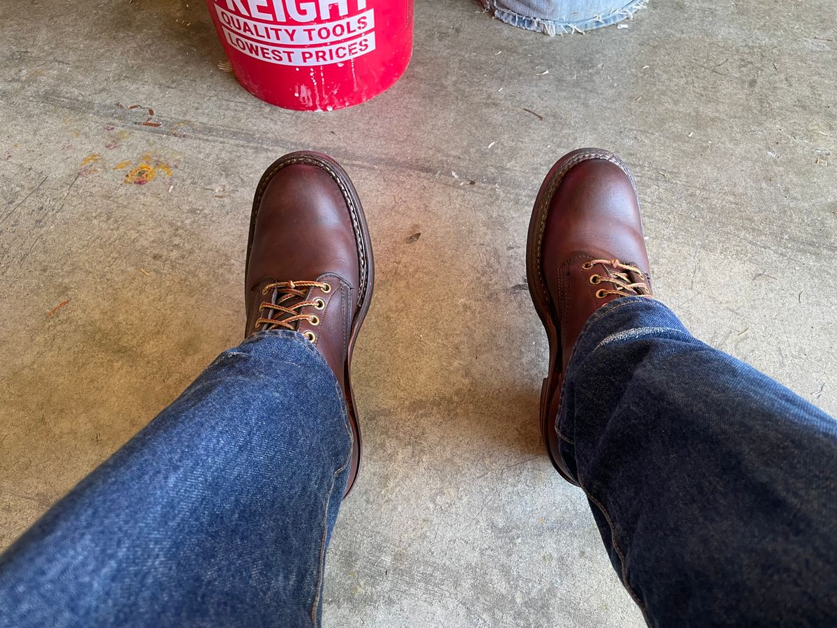 Photo by LeihMeAlone on March 21, 2025 of the White's Packer in Seidel Red Dog Oil Tan.