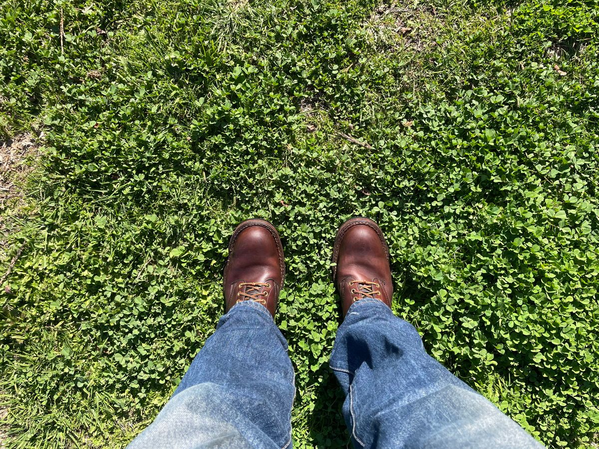 Photo by LeihMeAlone on March 21, 2025 of the White's Packer in Seidel Red Dog Oil Tan.