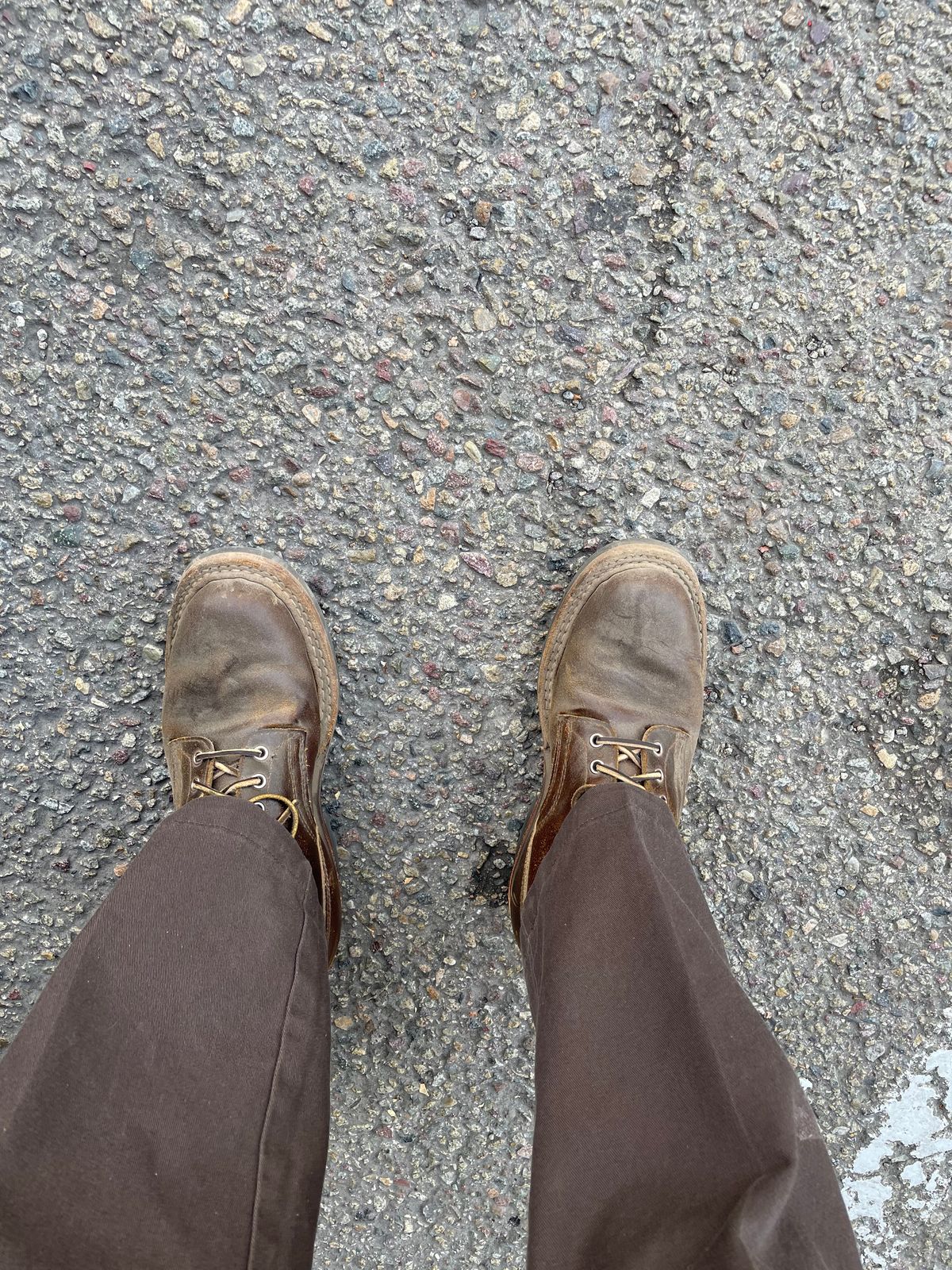 Photo by LeihMeAlone on August 9, 2025 of the White's 350 Cruiser in Horween Cinnamon Waxed Flesh.